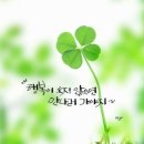 부부의 날 ! 사랑의 말 11가지 이미지