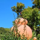 근혜농장 이미지