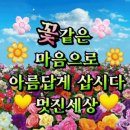 꽃 피는 계절 Daum카페