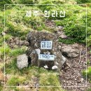 당일치기로 다녀온 한라산 솔직 후기들