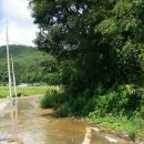 안곡농장 이미지