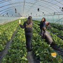 청도경찰서 이미지