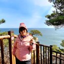 해파랑길 42코스 이미지