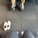 미금 헬스장 익스홀릭 가넷 무료PT 후기 및 회원권 가격