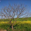 정재영농장 이미지