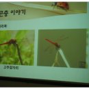 안수정 이미지