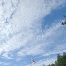 스마트폰 완전정복 이미지