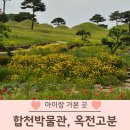합천박물관 | 합천 박물관 옥전고분 국가유산청 여권 스탬프 가볼만한 곳