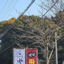윤가네바다짬뽕 이미지
