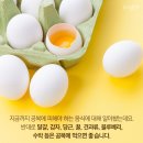 먹구봐 - 금산군 | 먹구봐