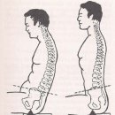 네이처짐 이미지