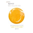 옐로피쉬