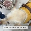 다이소경북 - 2464 | 다이소경북