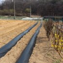 산아래 하우스 이미지