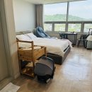 주식회사 봄날산후조리원 세종점 | 세종 봄날산후조리원 2주 후기 트리니움 연계
