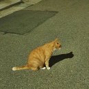 커피선카페 이미지