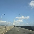 명품물회송정 | 부산 송정해수욕장 물회 맛집 명품물회 솔직 후기