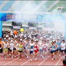 낙동강변9 이미지