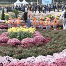 삼락생태공원 일원 행사장 이미지