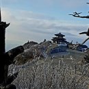 덕유산공인중개사사무소 이미지