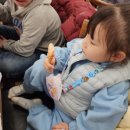 국미대게 네이버블로그