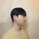 콘크리트헤어 네이버블로그