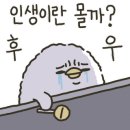 오캄캠핑 이미지