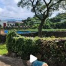 펫홀릭더라이프 이미지