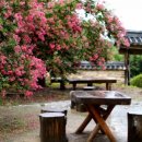 태일농장 이미지