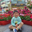 꿈마루도서관 이미지