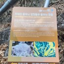 울진나들이 - 덕구온천. 구수곡자연휴양림 이미지