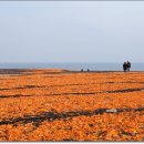 고은목장 이미지