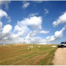 유화목장 이미지