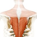 휘트니스 휴 이미지