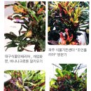 진이플라워 - 마포구 성미산로 71 | 진이플라워