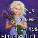 휘장을 꿰뚫어 보는 눈 이미지