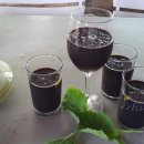 별빛산장 이미지