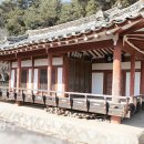 내성천 제방도로 이미지