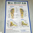 양천안마지압원 이미지