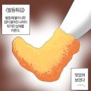 쌍용서비스프라자서초코너 | 04.07 - 04.13 카공 후 술 먹기로 했는데 비가 와서 그냥 술마신 사람이 된.. • 발등튀김 상태에서...