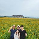 쁘띠하우스더궁 | 황화코스모스 ,분황사,불국사근처식당 맛자랑-쁘띠하우스더궁펜션-경주중앙야시장-월정교야경-첨성대...