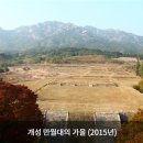 디지탈 개성 머니투데이