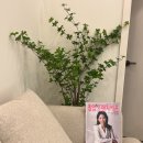 이숙경뷰티캐슬 - 서구 갈마동 | [Wedding💍]이숙경뷰티 갈마점 내돈내산 웨딩관리 후기(대전피부관리, 대전마사지, 대전신부관리, 대전...