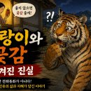 호랑이와 곶감 : 숨겨진 진실