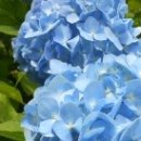 재단법인 자생의료재단 대전자생한방병원 이미지