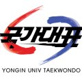 국가대표 T-1 태권도장 이미지