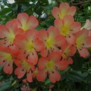 오산 실버케어센터 이미지