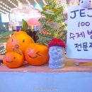 서귀포매일올레시장 티스토리
