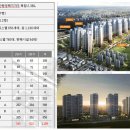 강남-041 Daum카페