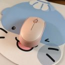 진주 하모스토어 방문 후기🦦/하모아요/가격안내